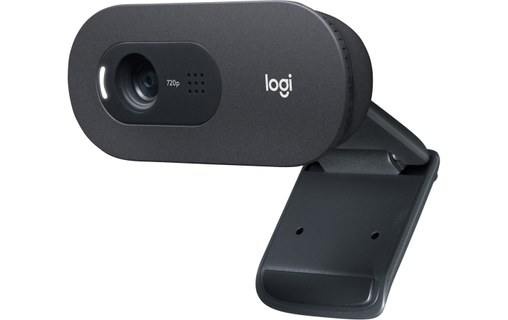 Logitech C505 HD Webcam