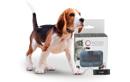 TRACTIVE Motion - Tracker d'activité pour animaux domestiques
