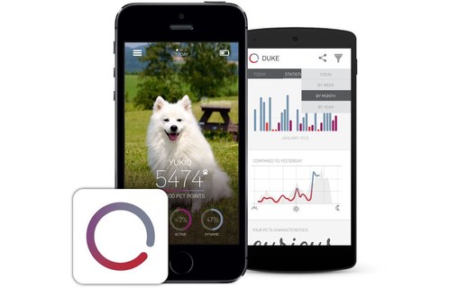 TRACTIVE Motion - Tracker d'activité pour animaux domestiques