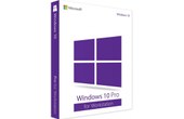 Microsoft Windows 10 Pro for Workstations (Stations de travail) - Clé licence à