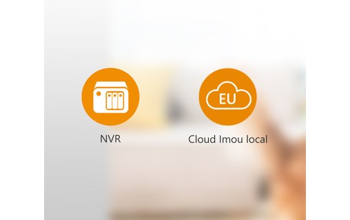 IMOU PoE Turret - Caméra IP dome Ethernet (RJ45) 1080p