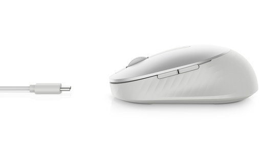 Souris sans fil Dell MS7421W - Argent