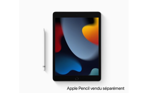 Apple iPad 10,2" - 2021 - Wi-Fi - 64 Go - Gris sidéral