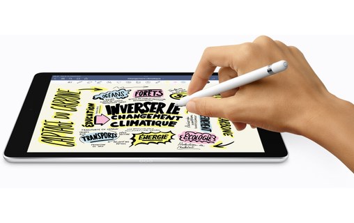 Apple iPad 10,2" - 2021 - Wi-Fi - 64 Go - Gris sidéral