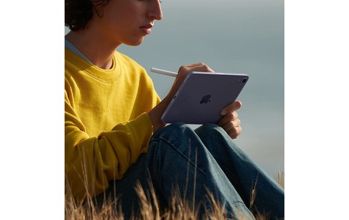 Apple iPad mini - 2021 - Wi-Fi + Cellular - 256 Go - Rose