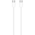 Apple MM093ZM/A câble USB 1 m USB C Blanc