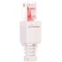 ENTER-WEB Fiche RJ45 CAT6 (? sertir sans pince)