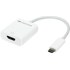NewerTech Adaptateur USB-C vers HDMI 2.0 4K à 60 Hz