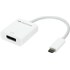 NewerTech Adaptateur USB-C vers DisplayPort 1.4 8K à 60 Hz