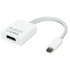 NewerTech Adaptateur USB-C vers DisplayPort 1.4 8K à 60 Hz