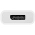 NewerTech Adaptateur USB-C vers DisplayPort 1.4 8K à 60 Hz