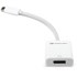 NewerTech Adaptateur USB-C vers DisplayPort 1.4 8K à 60 Hz