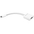 NewerTech Adaptateur USB-C vers DisplayPort 1.4 8K à 60 Hz