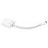 NewerTech Adaptateur USB-C vers DisplayPort 1.4 8K à 60 Hz