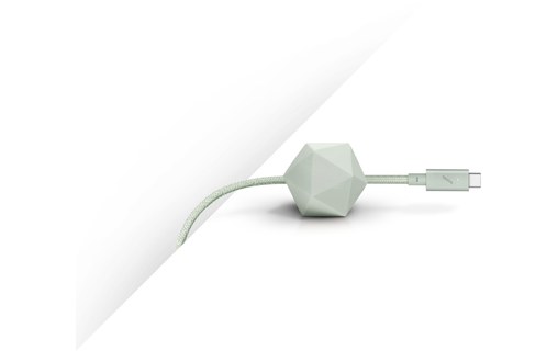 Câble Native Union USB-C vers USB-C 100 W USB 2.0 - 2,4 m - Vert