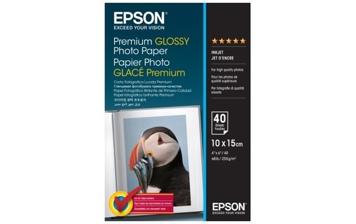 Epson S042153 Papier photo glacé Premium 10x15 255g, 40 feuilles