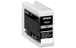 Epson T46S7 - Cartouche d'encre gris