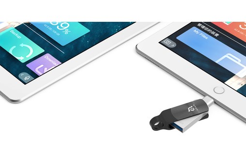 Clé USB-A et Lightning 256 Go pour iPhone & iPad - iKlips DUO+ Noir