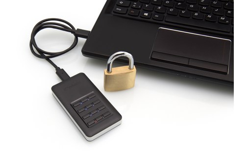 Verbatim Store 'n' Go Secure 256 Go - Argent, Noir - SSD externe USB-C - 53402