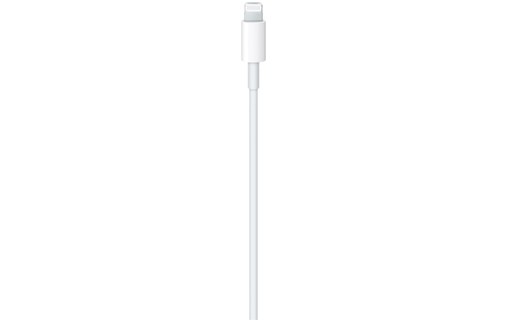 Apple MQGH2ZM/A câble Lightning 2 m Blanc