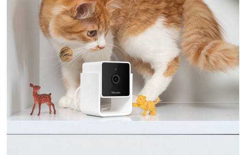 Caméra pour animaux Petcube Cam avec Vétérinaire en ligne (anglais)