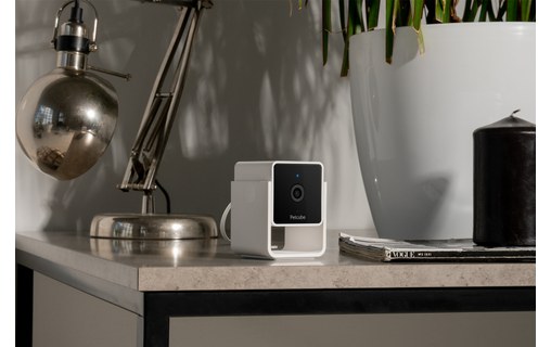 Caméra pour animaux Petcube Cam avec Vétérinaire en ligne (anglais)
