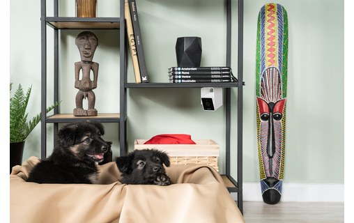 Caméra pour animaux Petcube Cam avec Vétérinaire en ligne (anglais)