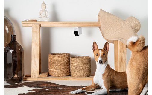 Caméra pour animaux Petcube Cam avec Vétérinaire en ligne (anglais)