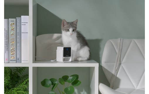 Caméra pour animaux Petcube Cam avec Vétérinaire en ligne (anglais)