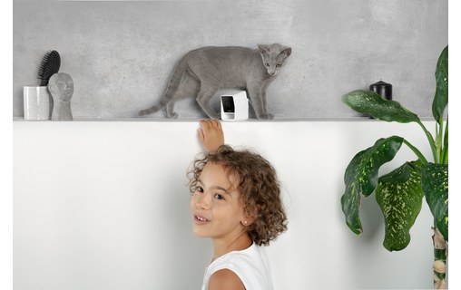 Caméra pour animaux Petcube Cam avec Vétérinaire en ligne (anglais)