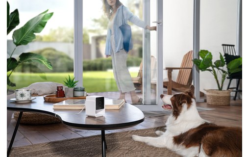 Caméra pour animaux Petcube Cam avec Vétérinaire en ligne (anglais)