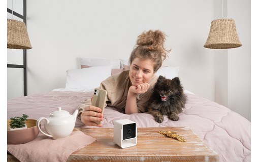 Caméra pour animaux Petcube Cam avec Vétérinaire en ligne (anglais)