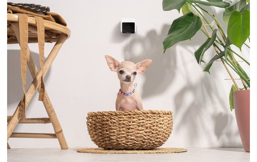 Caméra pour animaux Petcube Cam avec Vétérinaire en ligne (anglais)