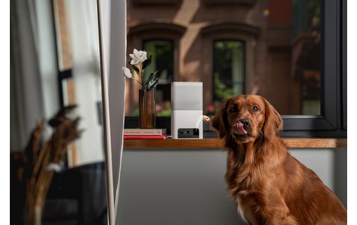 Caméra pour animaux Petcube Bites 2 Lite avec distributeur de friandises intégré