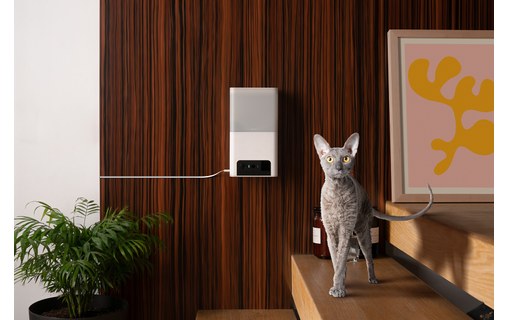 Caméra pour animaux Petcube Bites 2 Lite avec distributeur de friandises intégré