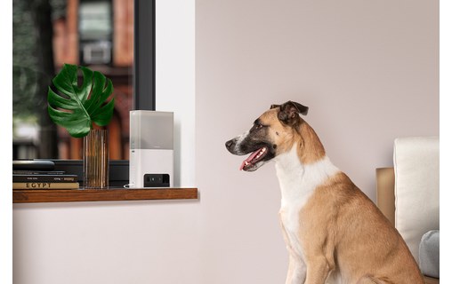 Caméra pour animaux Petcube Bites 2 Lite avec distributeur de friandises intégré