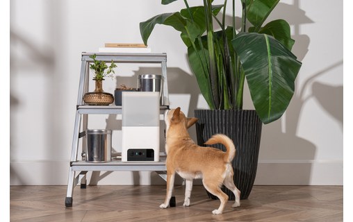 Caméra pour animaux Petcube Bites 2 Lite avec distributeur de friandises intégré