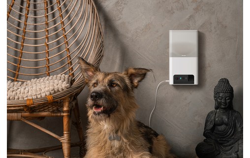 Caméra pour animaux Petcube Bites 2 Lite avec distributeur de friandises intégré
