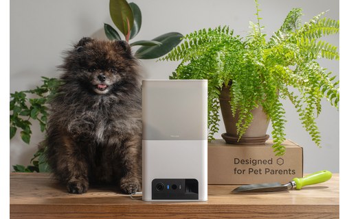 Caméra pour animaux Petcube Bites 2 Lite avec distributeur de friandises intégré
