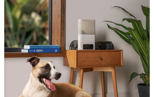Caméra pour animaux Petcube Bites 2 Lite avec distributeur de friandises intégré