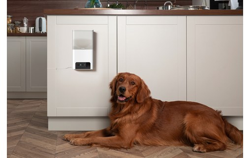 Caméra pour animaux Petcube Bites 2 Lite avec distributeur de friandises intégré