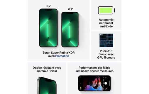 Apple iPhone 13 Pro 1 TB Alpine Green