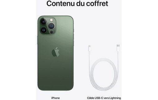 Apple iPhone 13 Pro Max 1 To Vert Alpin
