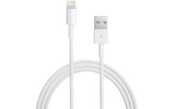 Câble Lightning vers USB 1 m Apple - MZLY2ZM/A