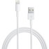 Câble Lightning vers USB 1 m Apple - MZLY2ZM/A