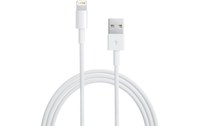 Câble Lightning vers USB 1 m Apple - MZLY2ZM/A