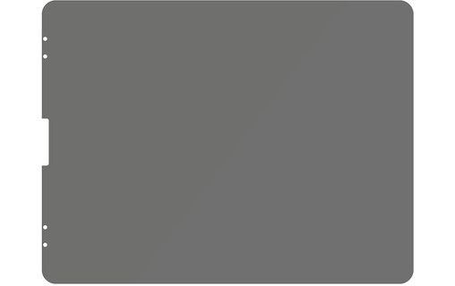 Vitre de confidentialité pour iPad Pro 12,9" (2020/2021) - PanzerGlass