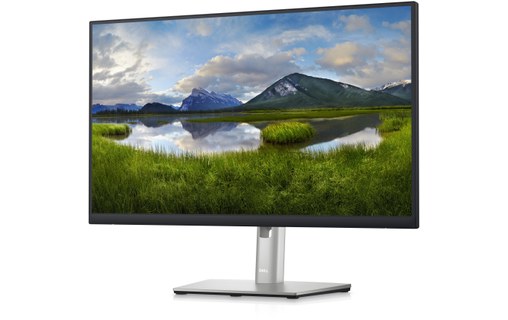 Écran 24" Dell P Series P2423DE - HDMI/DisplayPort