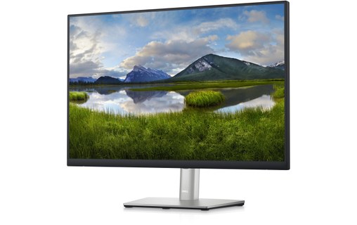 Écran 24" Dell P Series P2423 - USB-C