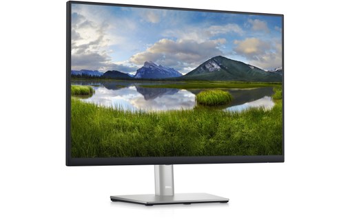 Écran 24" Dell P Series P2423 - USB-C